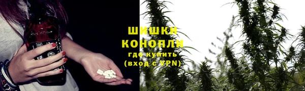 PSILOCYBIN Новозыбков