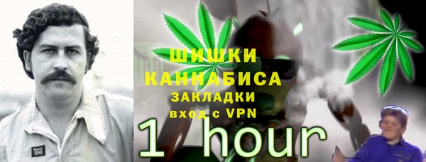 тгк Семёнов