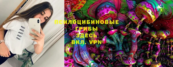 тгк Семёнов