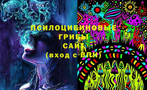 тгк Семёнов