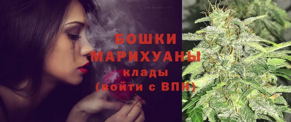 тгк Семёнов