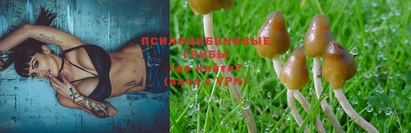 мяу мяу мука Саяногорск