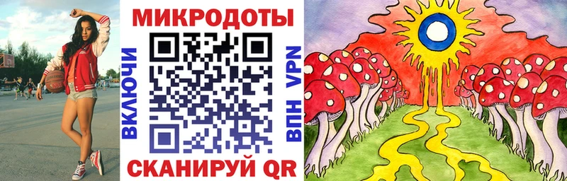Псилоцибиновые грибы Cubensis Сосенский